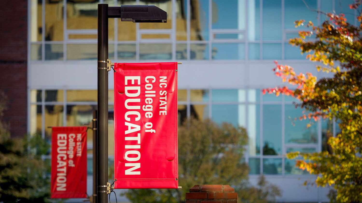 College of Education banners