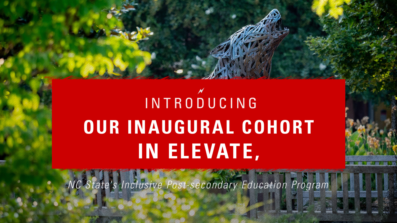 Elevate inaugural cohort