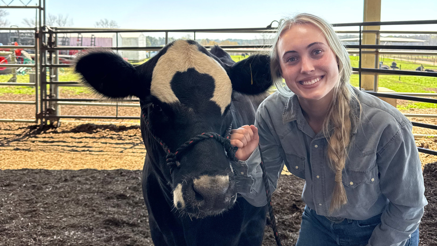 Young woman posing with a black and white cow
