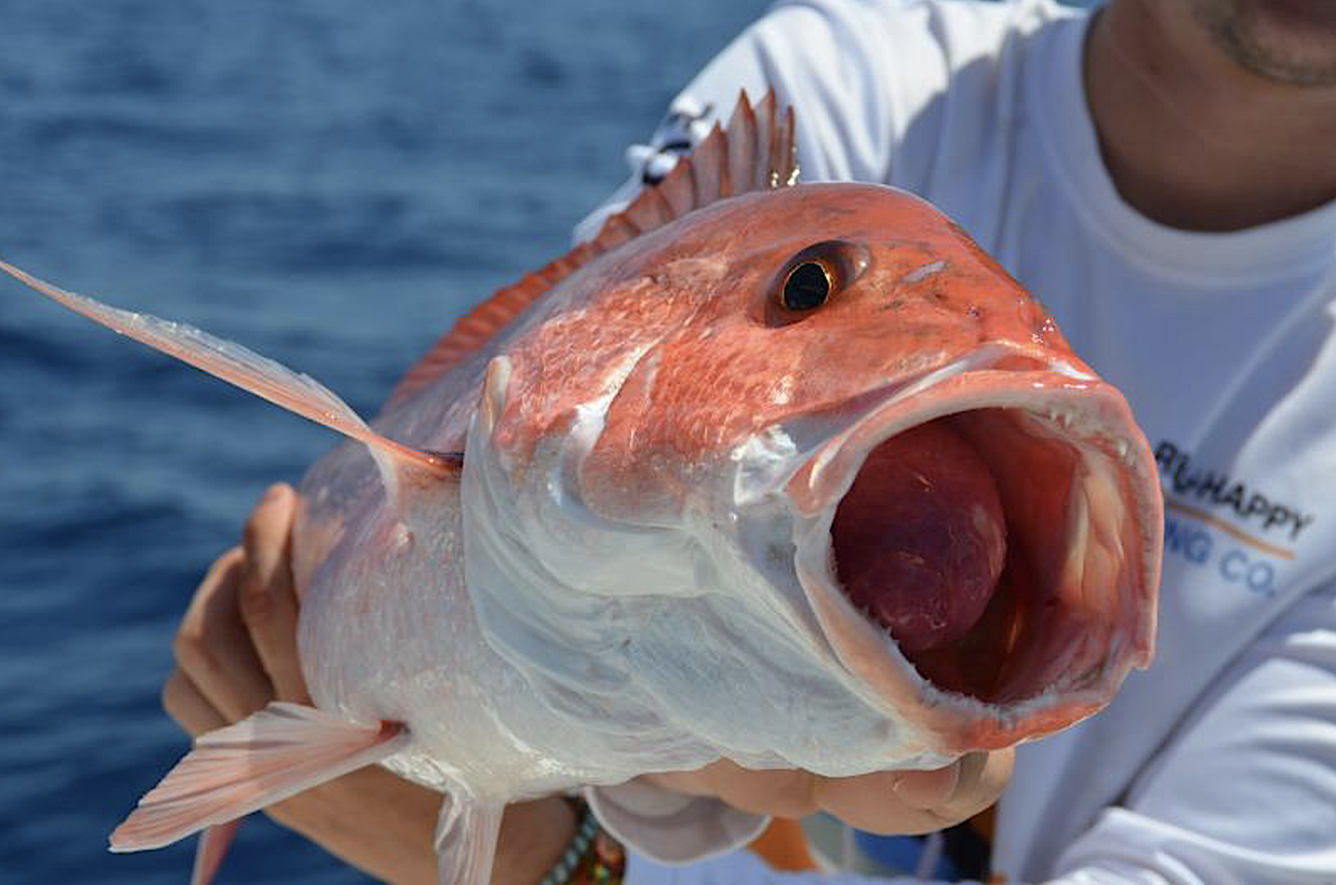 image: deepwater fish.