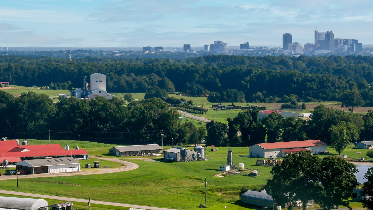NC State's Feed Mill Education Unit, with high-rise downtown buildings in the background and red-roofed farm buildings of the Lake Wheeler Road Field Lab in the foreground