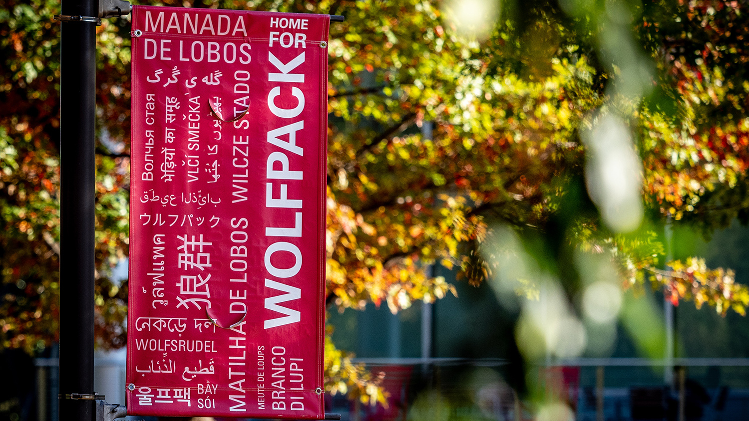 A Home for Wolfpack sign near the Talley student union in the fall.