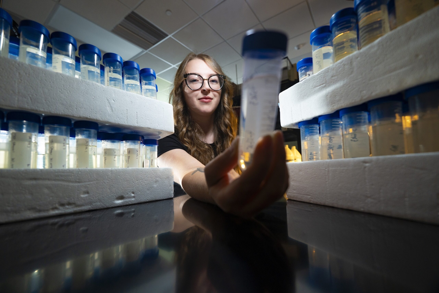 Kaylee Luchansky, a doctoral student in the Integrative, Comparative and Marine Biology program at UNCW studies zooplanktons she sampled at Jordan Lake near Raleigh, NC.