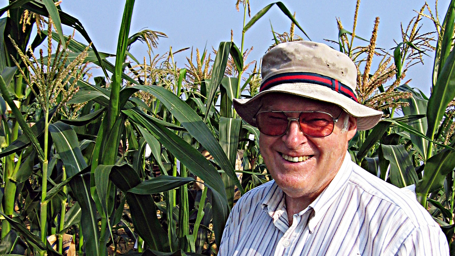 A scientist wearing a sweat-stained hat and sunglasses smilies while standing in a cornfield