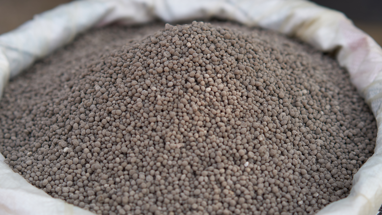 A close-up of a sack filled with light brown granular material, resembling fertilizer.