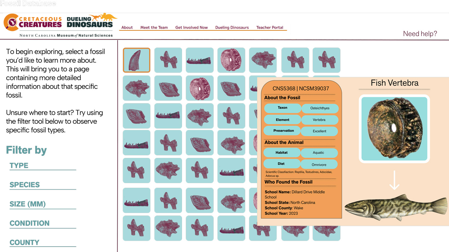 database visualization detail for Cretaceous Creatures Project