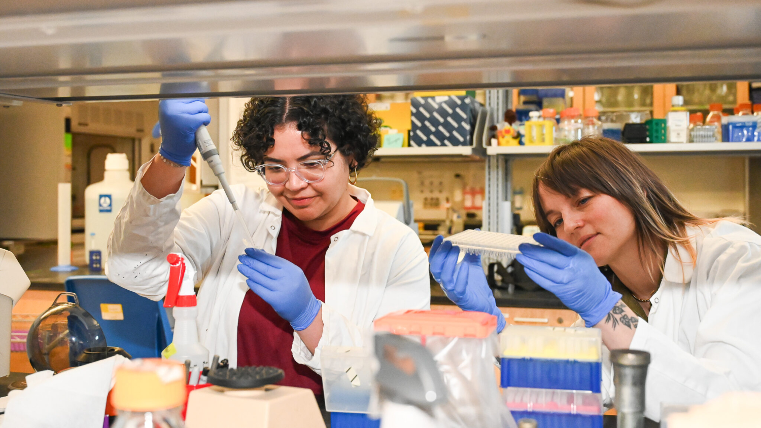 Two scientists in lab coats pipette and look at slides