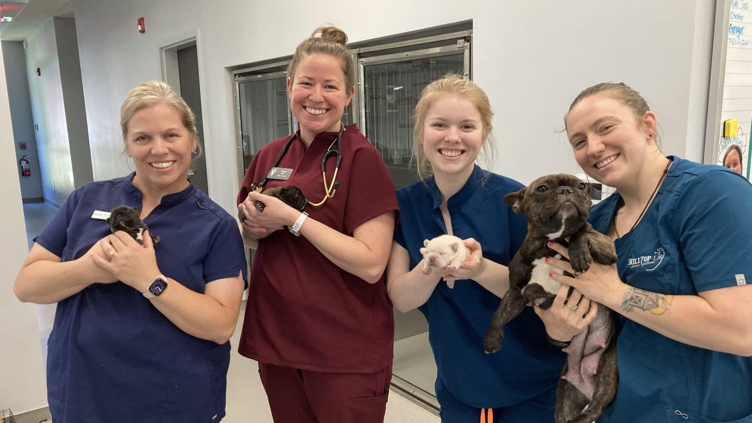Three women in scrubs hold newborn puppies while a fourth woman holds the mother dog.