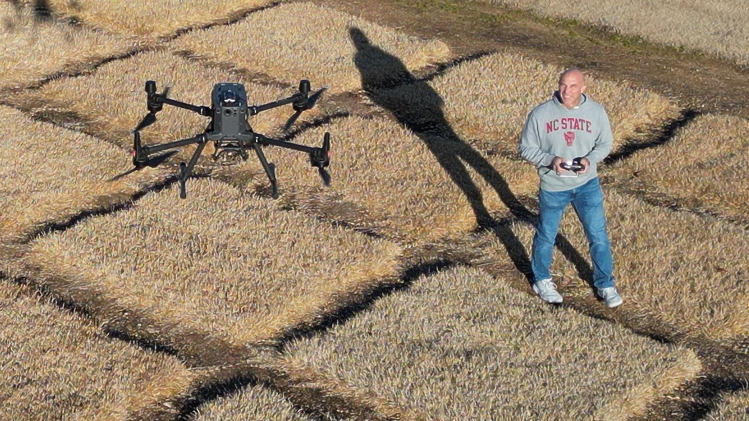 NC State research flies a drone over dormant warm-season turfgrass research plots.