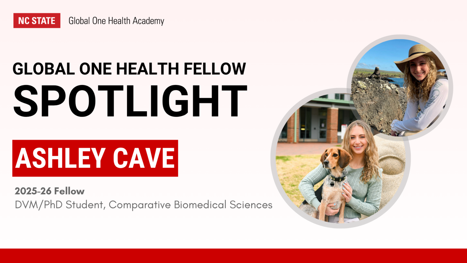 Graphic featuring Global One Health Fellow Spotlight on Ashley Cave (DVM/PhD Student, Comparative Biomedical Sciences). The GOHA logo is featured at the top left with the red NC State brick. Two images of Ashley are incuded: one with her smiling with her dog and the other a selfie of Ashley smiling with a sea lion behind her.