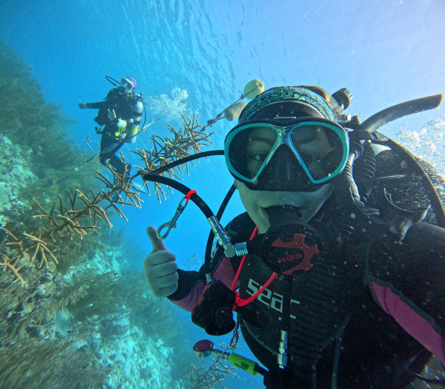 A woman in scuba gear points to a tree of coral attached to a buoy.