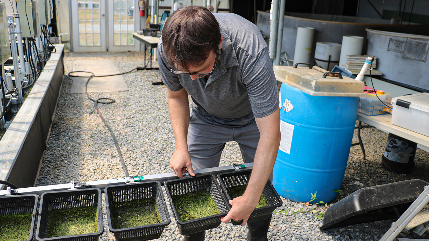 a man inside a industrial shed looking at baskets of duckweed
