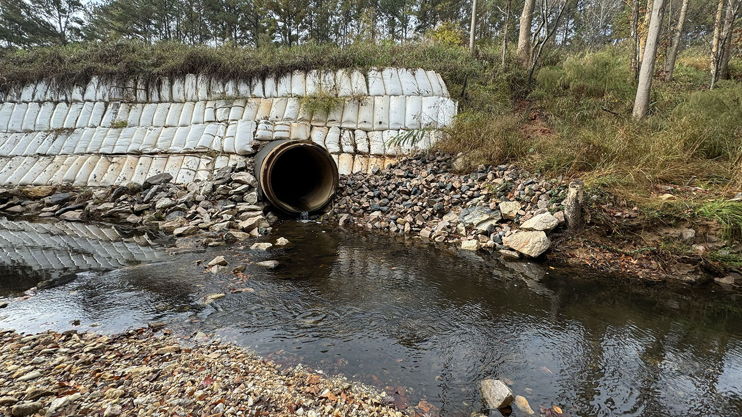 photo shows an urban stream near a stormwater overflow pipe