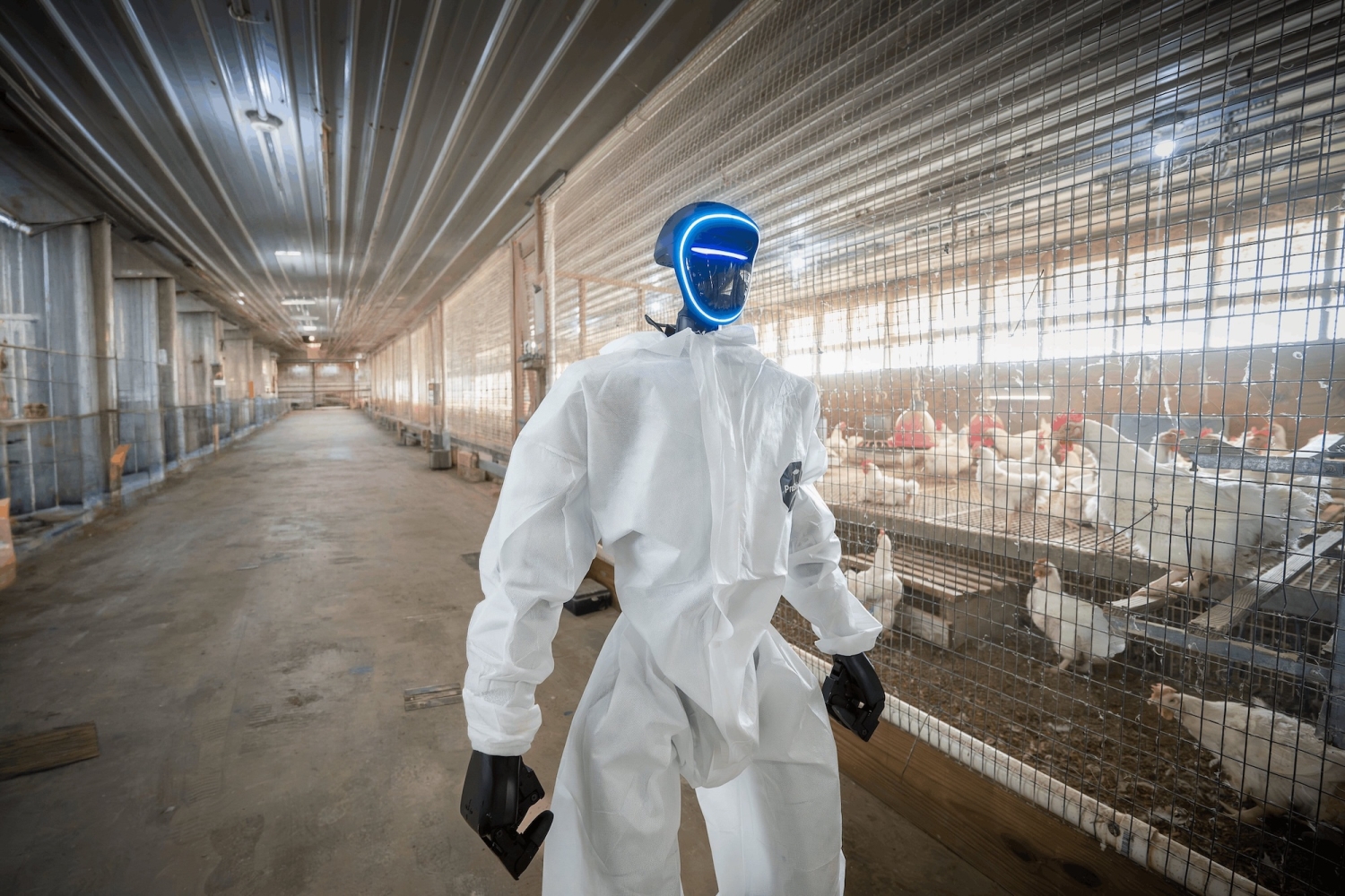 a robot wearing a safety suit walking through a chicken coop