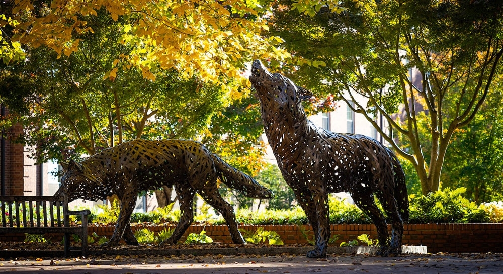 Wolf Plaza during fall
