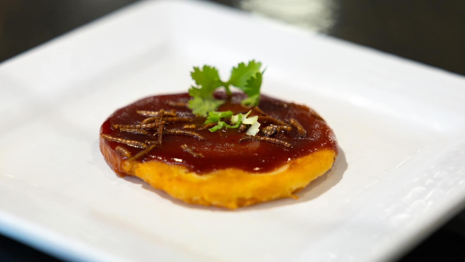 A cheesy arepa topped with barbecue sauce and mealworms.