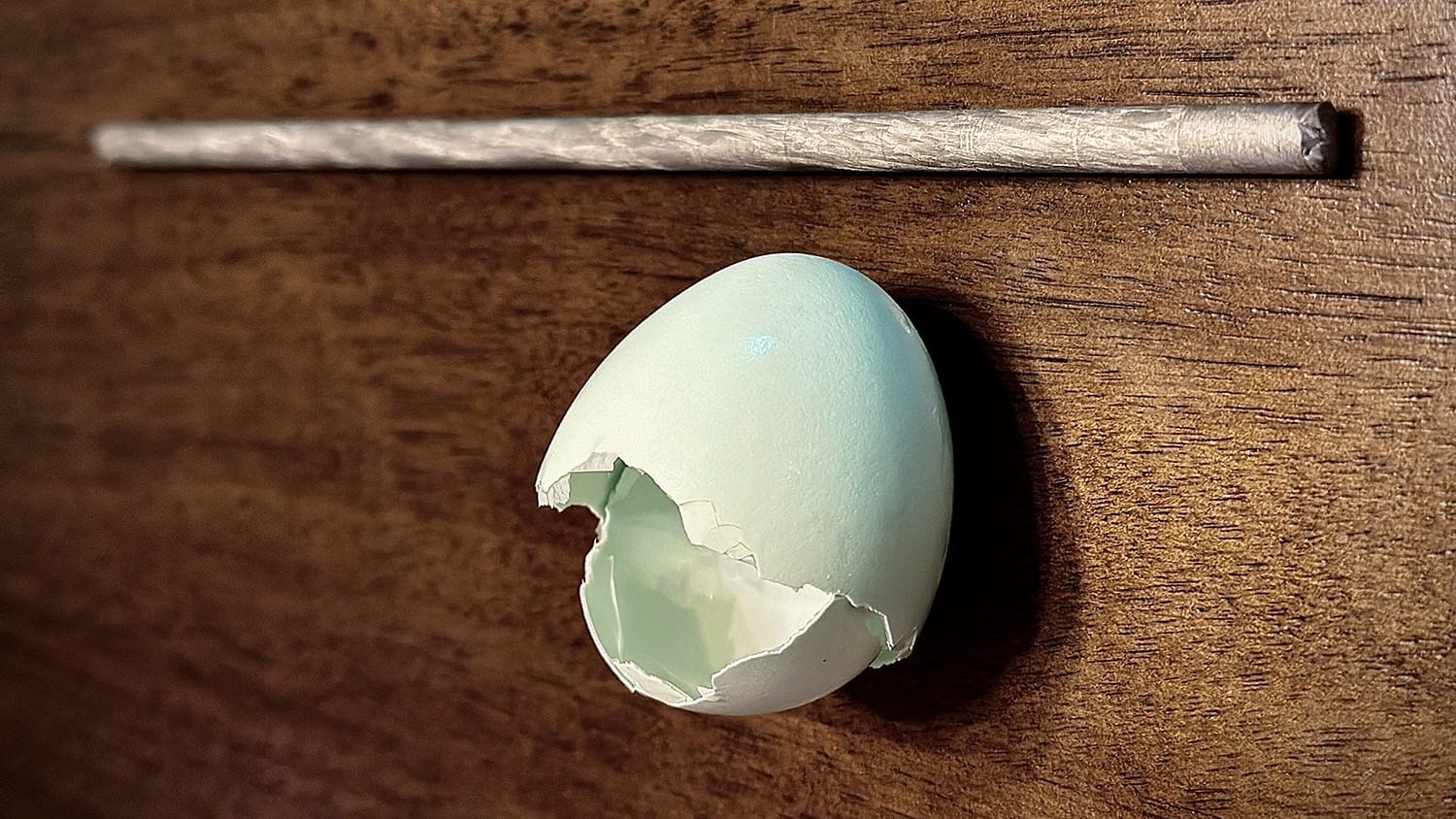 a broken eggshell lies on a table next to a thin rod of metal alloy